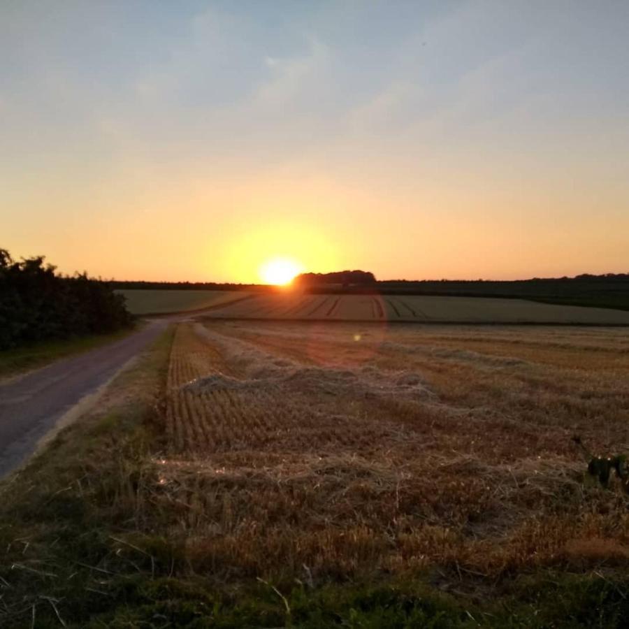 Hasbania Vakantiewoning Gingelom Bagian luar foto