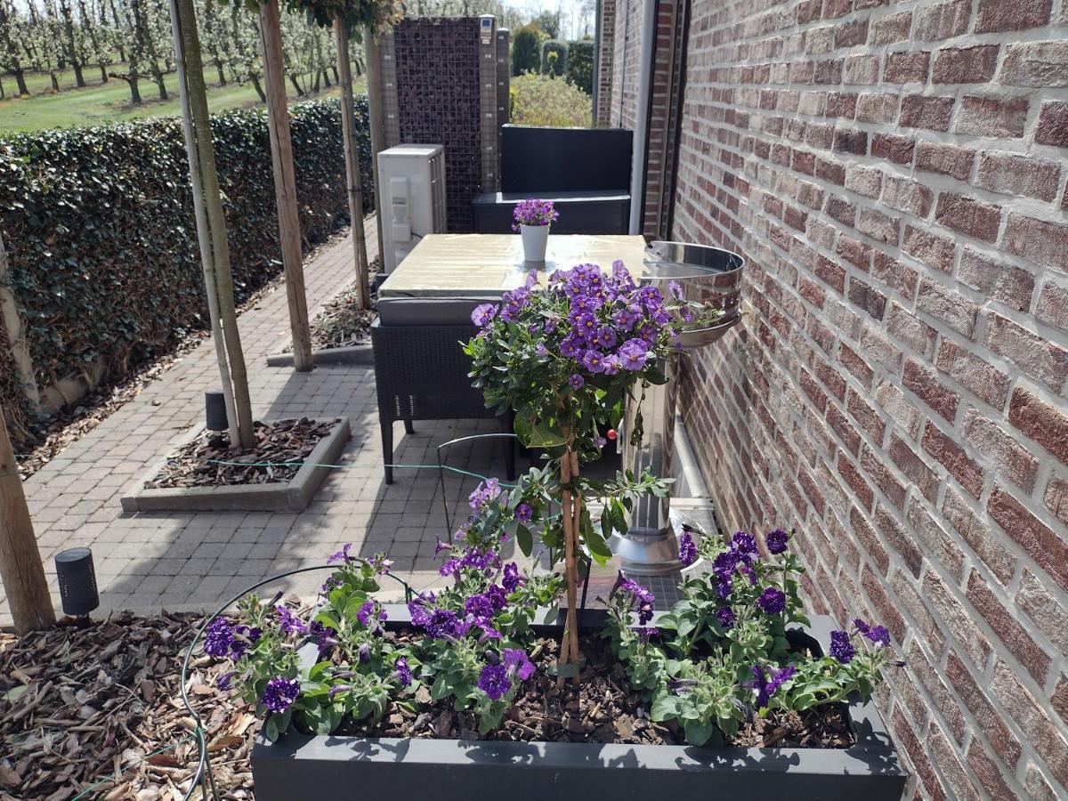 Hasbania Vakantiewoning Gingelom Bagian luar foto
